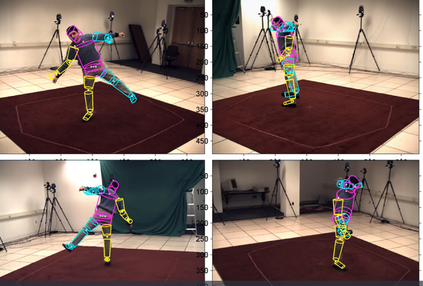 What is a Pose Estimation in AI/ML?